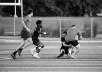 Rugby Championships.