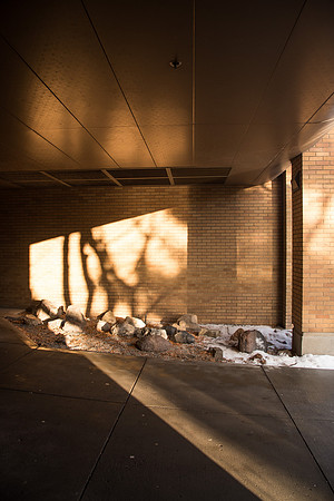 Light and shadow around campus. January 2019