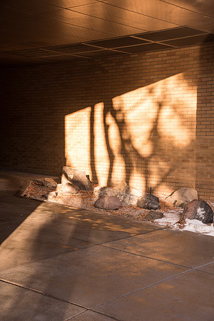 Light and shadow around campus. January 2019