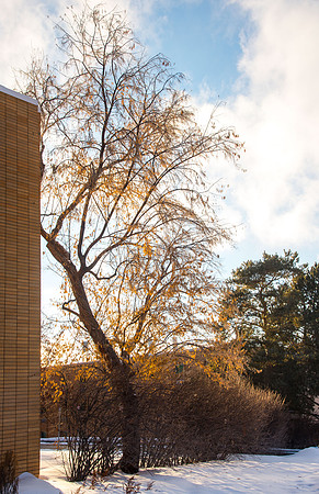 Light and shadow around campus. January 2019