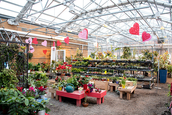 Valentine's Day on campus.