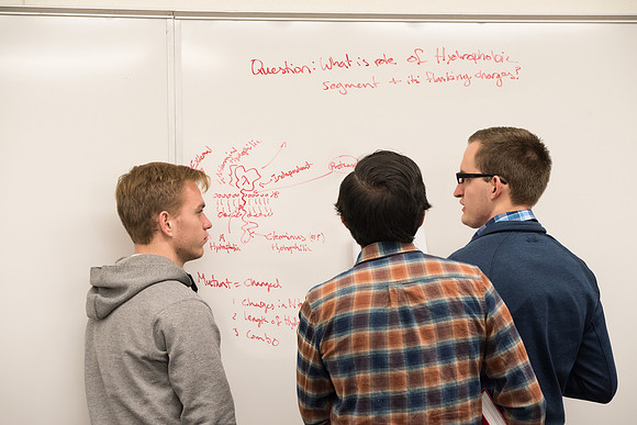 Sister Culbertson's BIO 376 class on Cell and Molecular Biology. Feb 2019