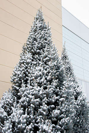 The campus cover with snow.