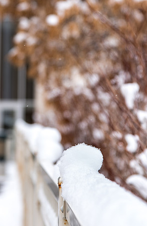 The campus cover with snow.