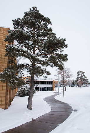 The campus cover with snow.