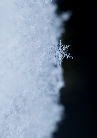 The campus cover with snow.