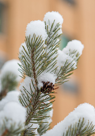 Fresh new snow on BYU-Idaho campus.  Feb 2019