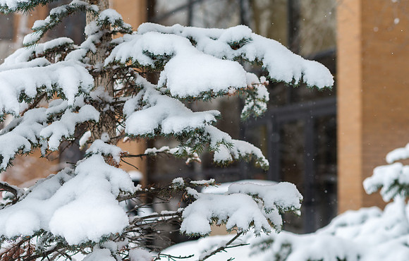 Fresh new snow on BYU-Idaho campus.  Feb 2019