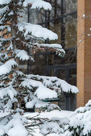 Fresh new snow on BYU-Idaho campus.  Feb 2019