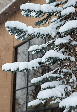Fresh new snow on BYU-Idaho campus.  Feb 2019