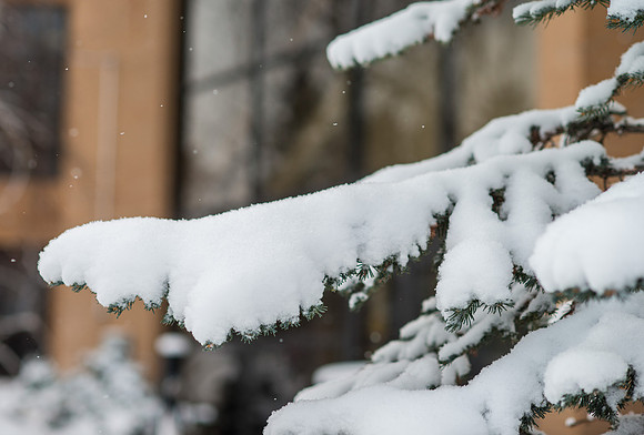 Fresh new snow on BYU-Idaho campus.  Feb 2019