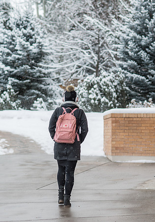 Fresh new snow on BYU-Idaho campus.  Feb 2019