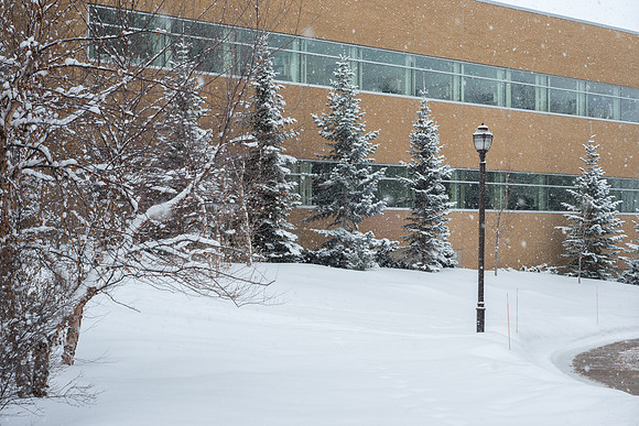 Fresh new snow on BYU-Idaho campus.  Feb 2019