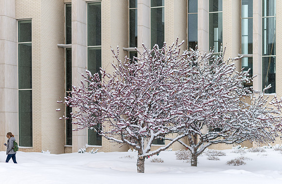 Fresh new snow on BYU-Idaho campus.  Feb 2019