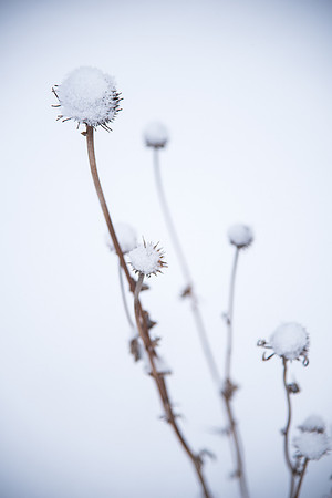 Winter--Feb 2019