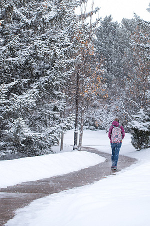 Winter--Feb 2019