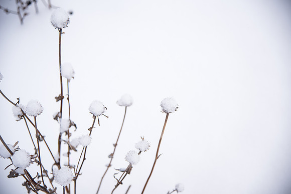 Snowy scenes around campus. Feb 2019