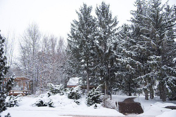 Snowy scenes around campus. Feb 2019