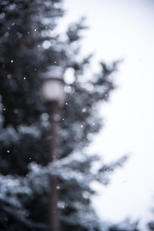 Snowy scenes around campus. Feb 2019