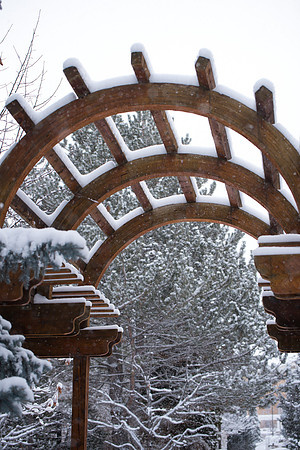 Snowy scenes around campus. Feb 2019
