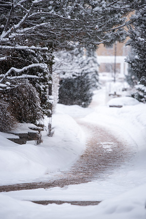 Snowy scenes around campus. Feb 2019