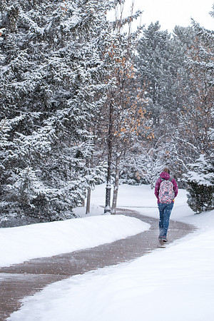 Snowy scenes around campus. Feb 2019