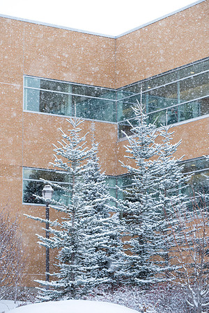 Snowy scenes around campus. Feb 2019