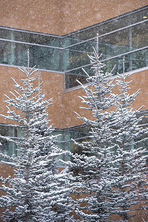Snowy scenes around campus. Feb 2019