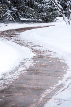 Snowy scenes around campus. Feb 2019