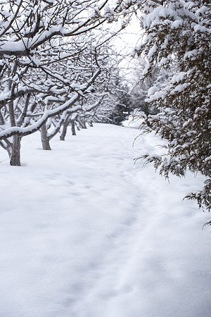 Snowy scenes around campus. Feb 2019