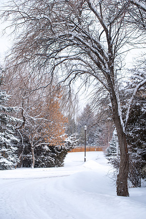 Snowy scenes around campus. Feb 2019