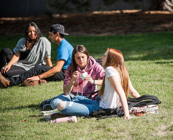 BYUI students and faculty gather by the I-Center after devotional and eat Reed's dairy ice cream to celebrate spirit week.