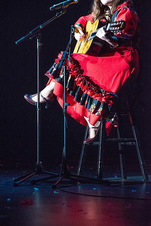 Cultural Night--March 2019