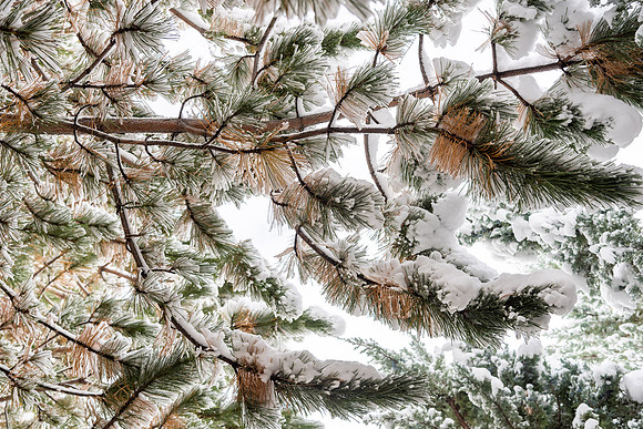 First Snowfall - Oct 2021