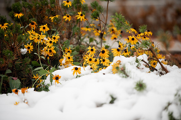 Students around campus before devotional after the first snowfall of the season during the fall 2021 semester.
