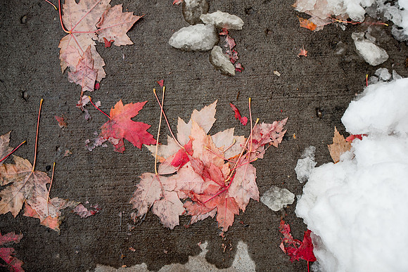 Students around campus before devotional after the first snowfall of the season during the fall 2021 semester.