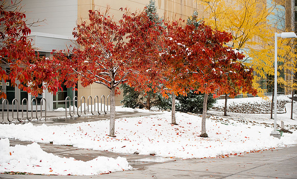 Students around campus before devotional after the first snowfall of the season during the fall 2021 semester.