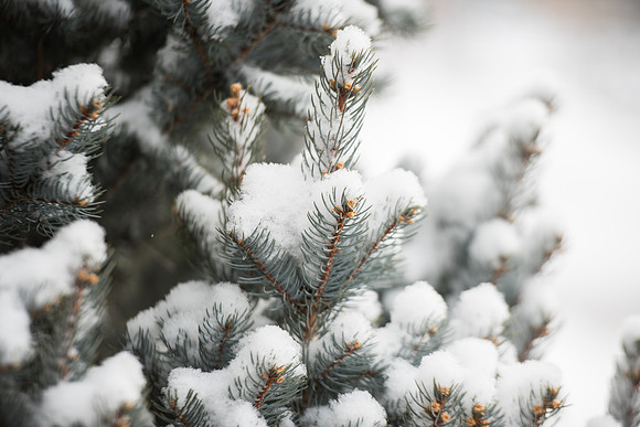 BYU-Idaho Campus during Winter Semester