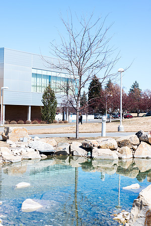 Spring view on campus.