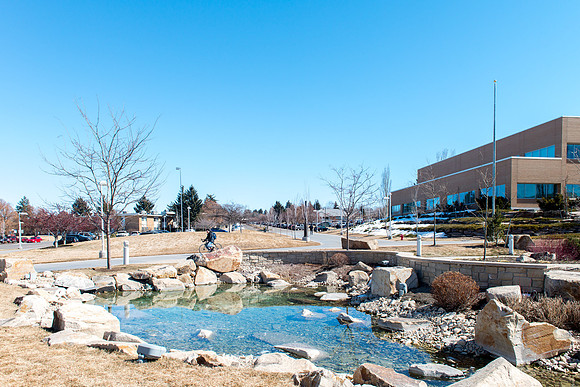 Spring view on campus.