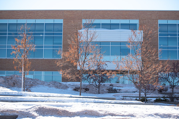 A walk around campus on a Saturday morning in March 2019
