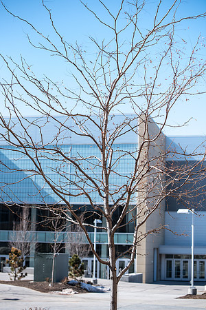 A walk around campus on a Saturday morning in March 2019