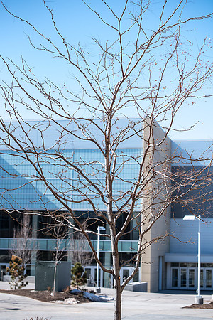 A walk around campus on a Saturday morning in March 2019