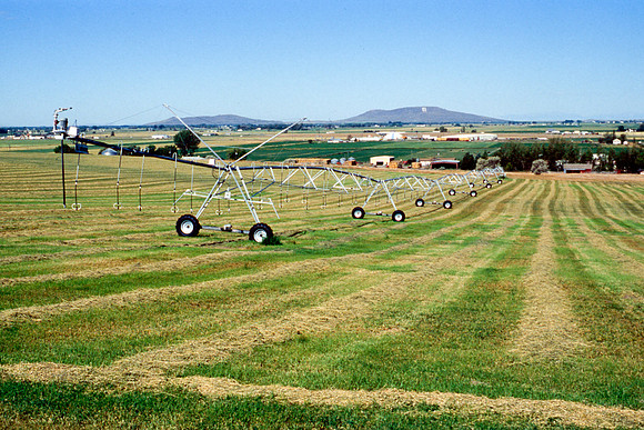 Construction of the Arboretum.