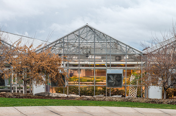 Benson Greenhouse - Apr 2019