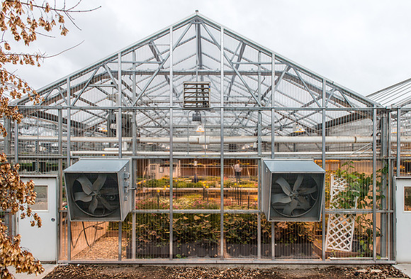 Benson Greenhouse - Apr 2019
