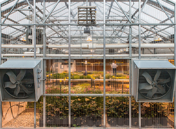 Benson Greenhouse - Apr 2019