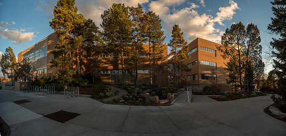 David O. McKay Library, BYU-Idaho Campus, April 2019.