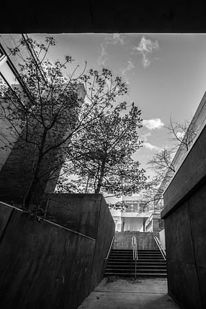 David O. McKay Library, BYU-Idaho Campus, April 2019