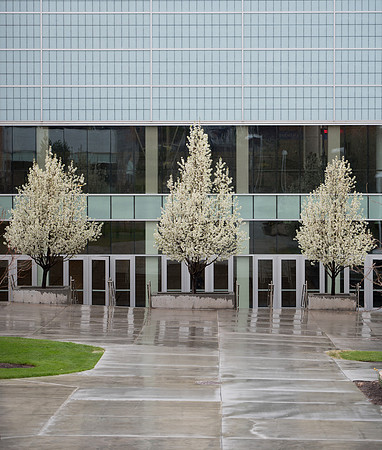 Campus Spring scenery - May 2019